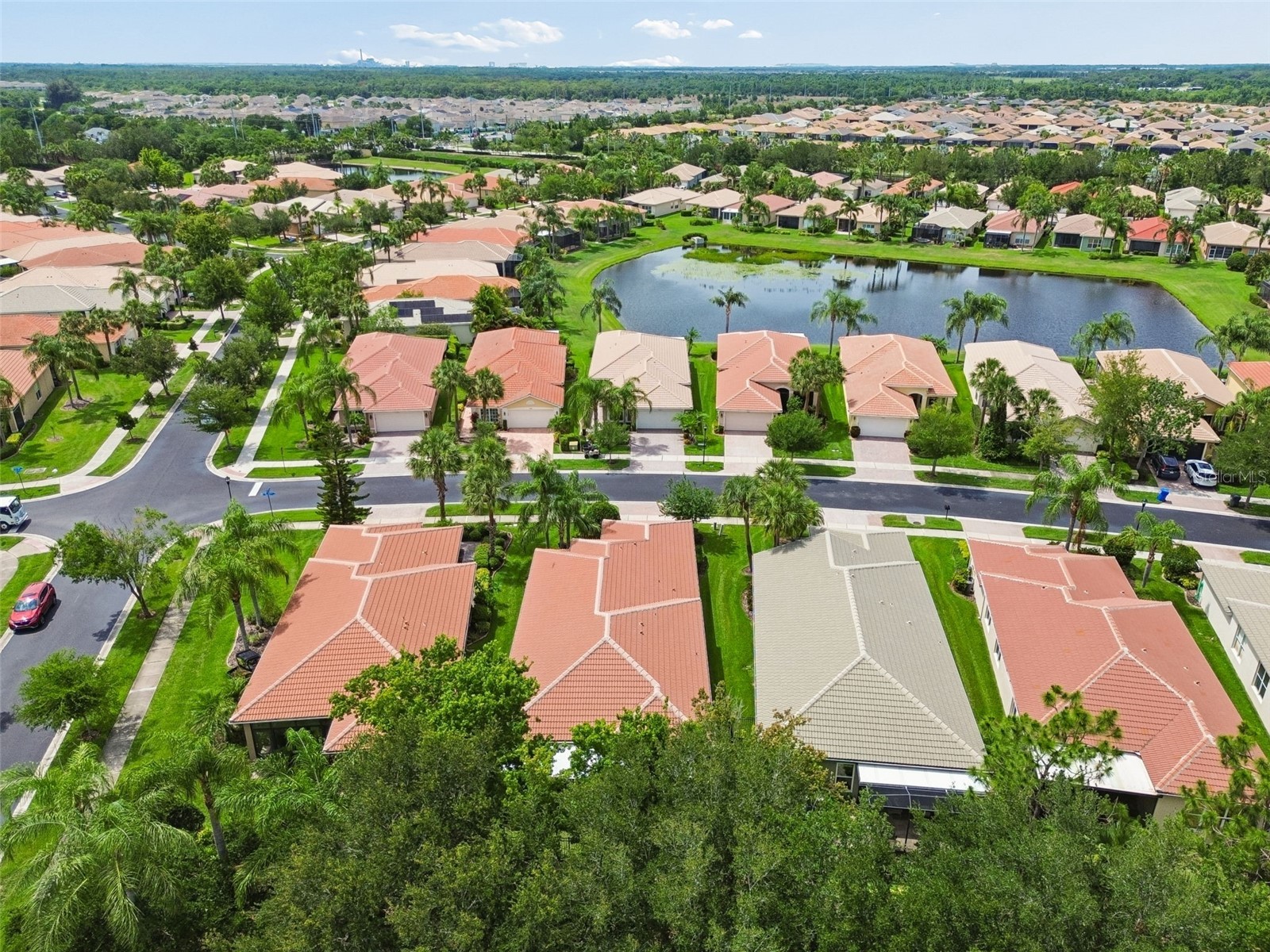 15790 Crystal Waters Drive Wimauma FL 33598 TB8515684 image43