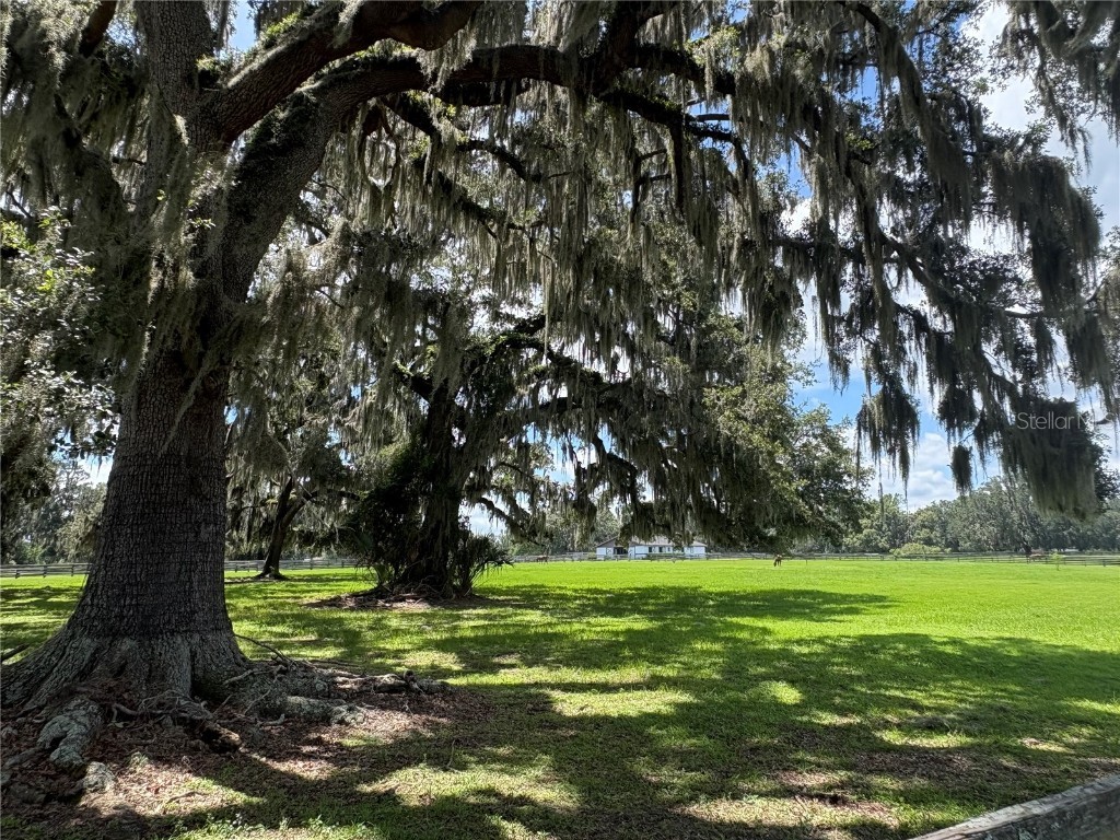 15795-15810 NW 86th Avenue Reddick FL 32686 OM705180 image95