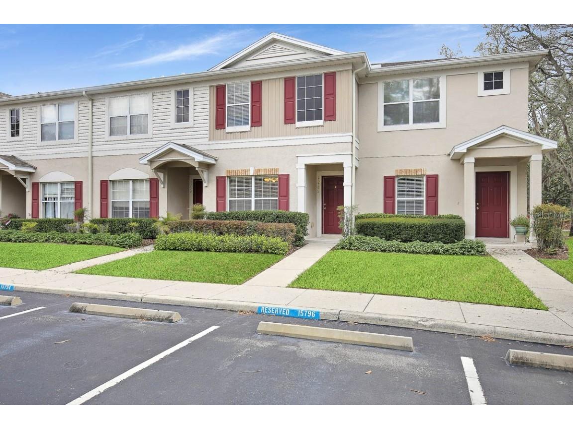 15796 Fishhawk Falls Drive Lithia FL 33547 T3447119 image1