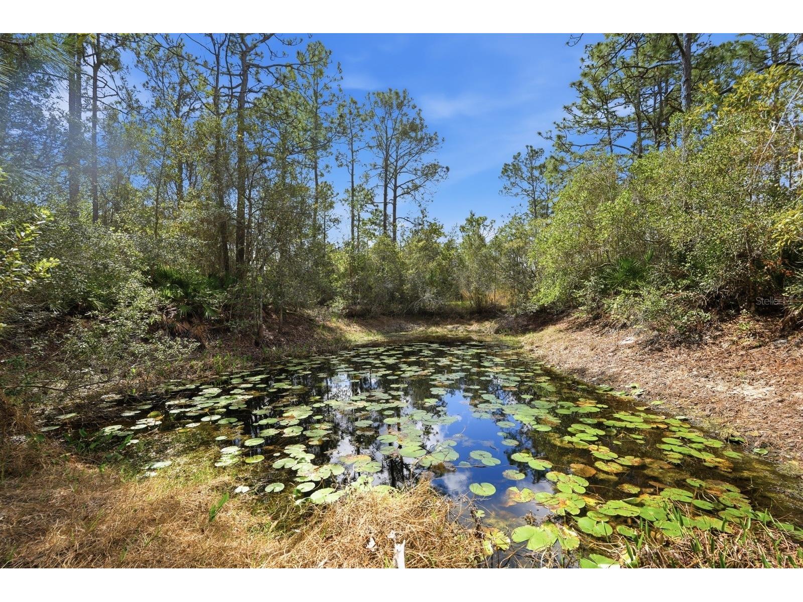 158 Cone Road Ormond Beach FL 32174 O6390029 image28