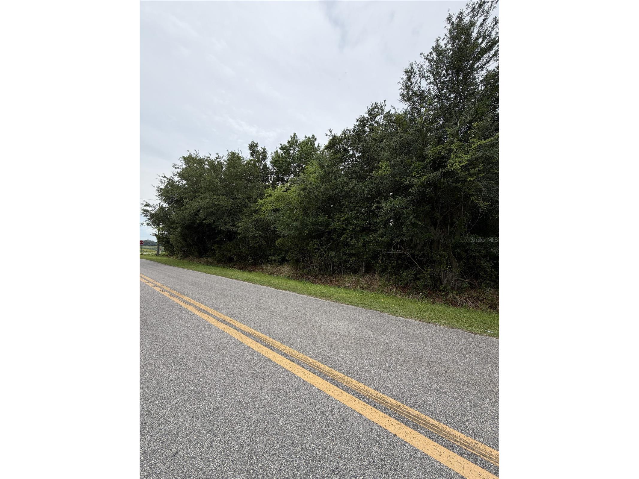 158 E Cracker Swamp Road East Palatka FL 32131 FC318482 image2