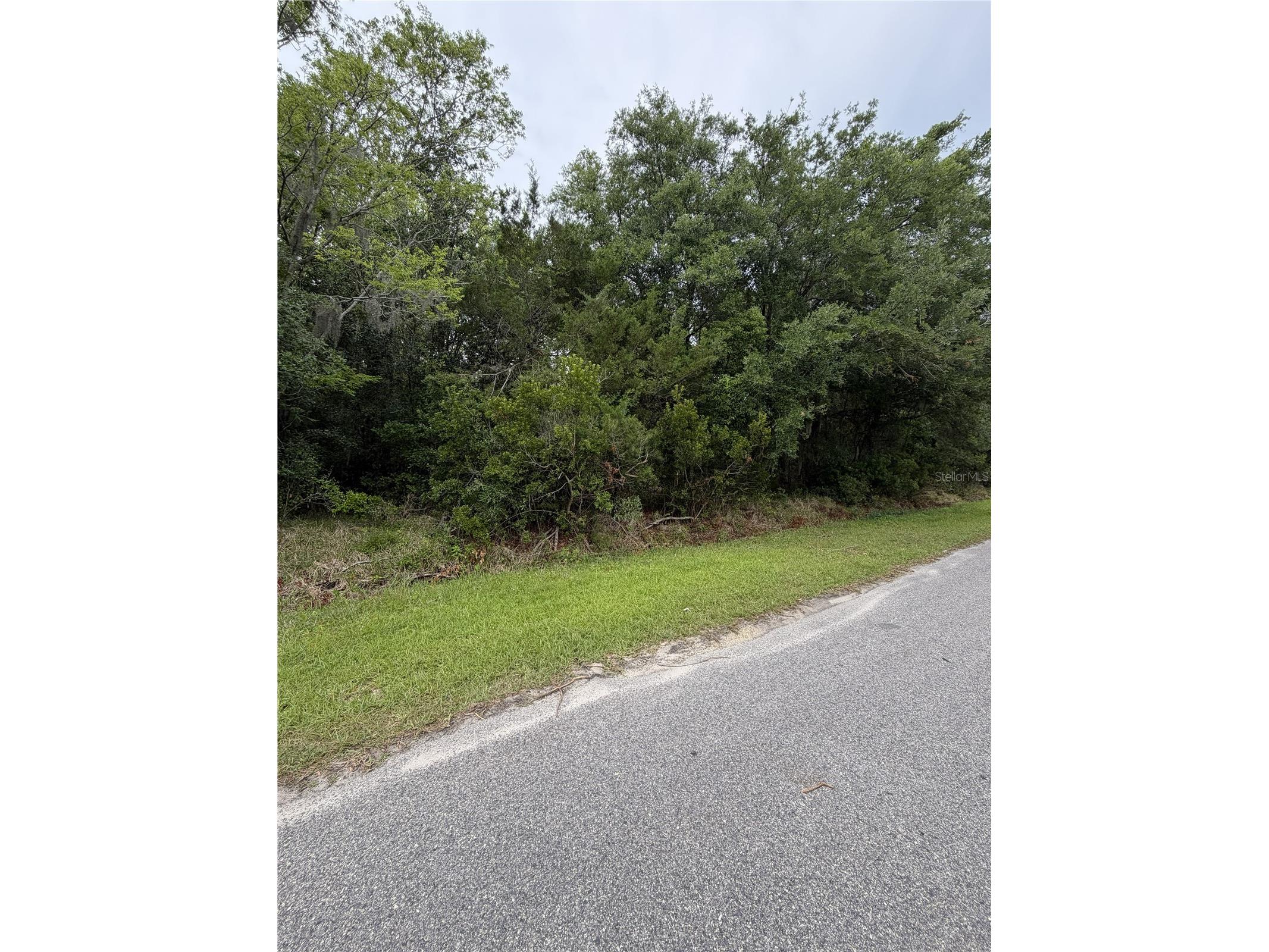 158 E Cracker Swamp Road East Palatka FL 32131 FC318482 image3