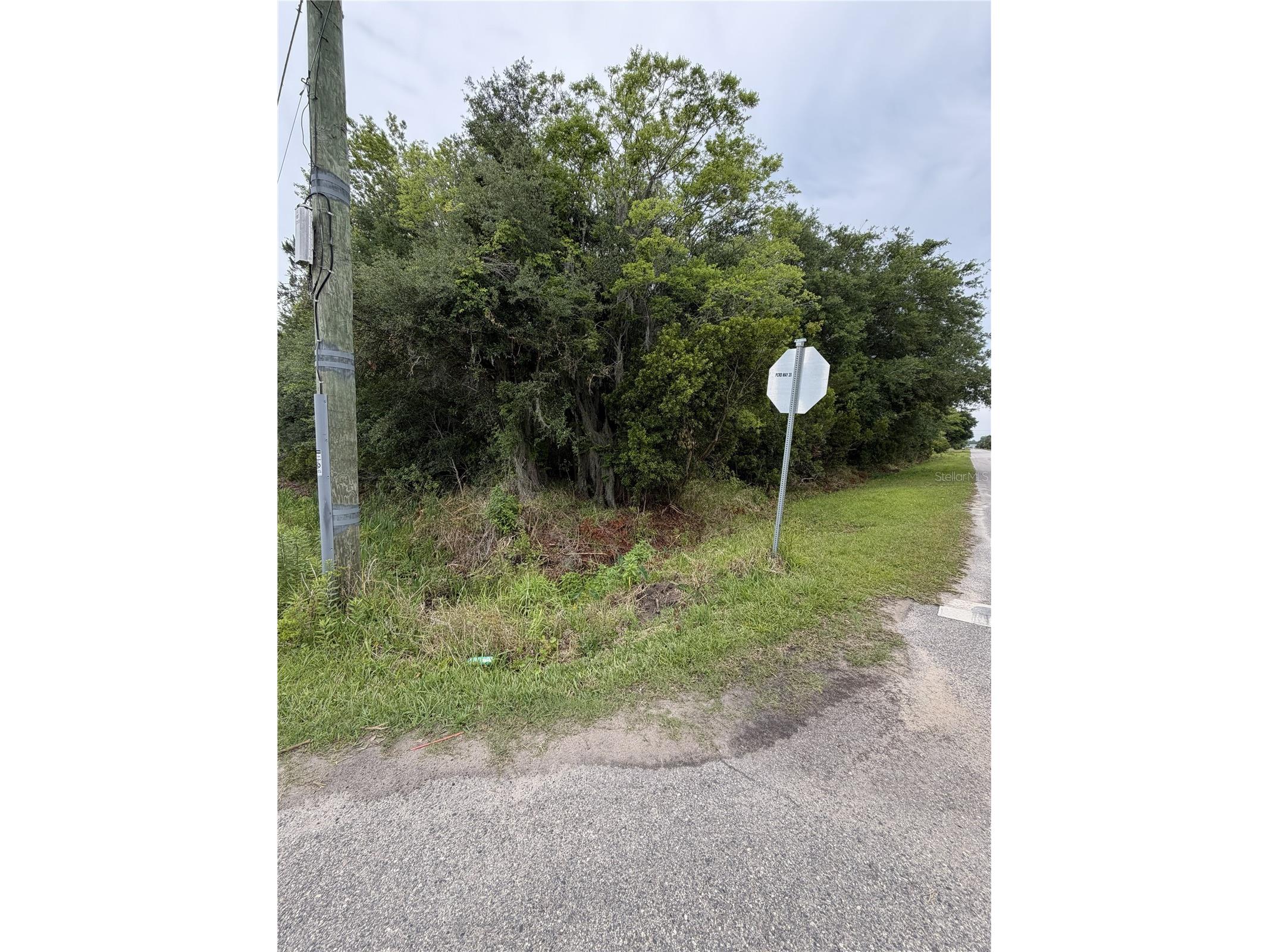 158 E Cracker Swamp Road East Palatka FL 32131 FC318482 image4