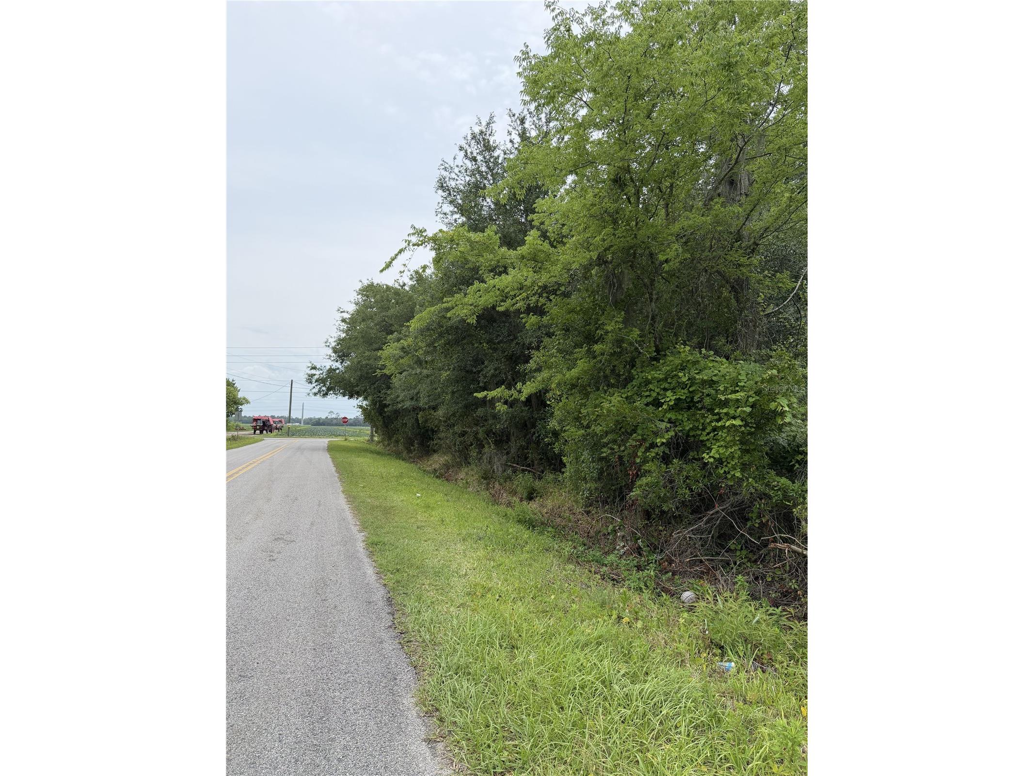 158 E Cracker Swamp Road East Palatka FL 32131 FC318482 image8