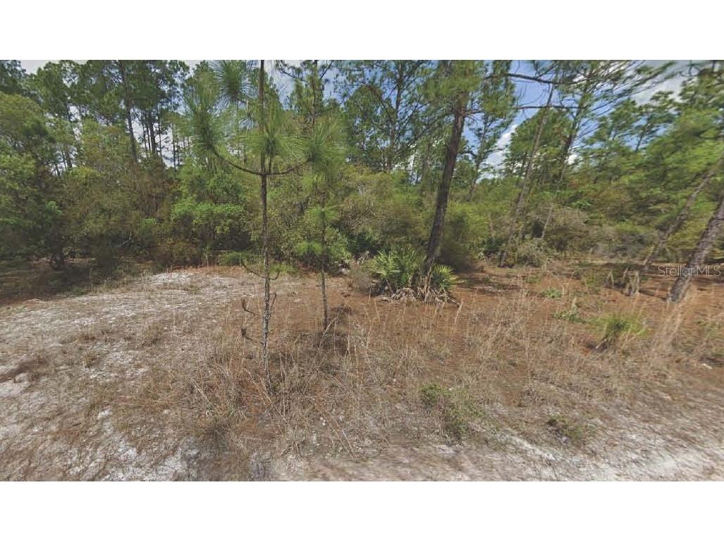 158 Ferncreek Drive Georgetown FL 32139 OM715761 image1