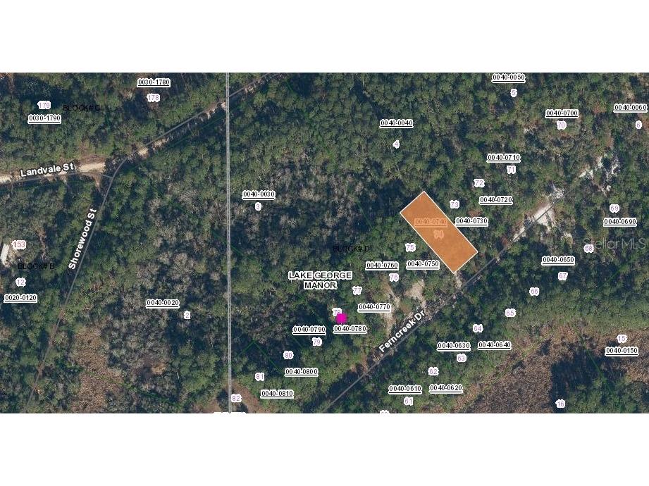 158 Ferncreek Drive Georgetown FL 32139 OM715761 image2