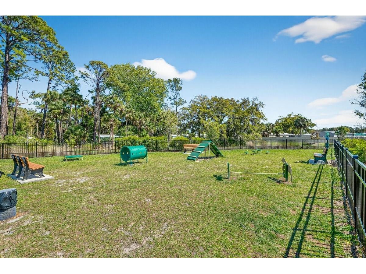 158 Jones Fish Camp Road Edgewater FL 32141 NS1087800 image51