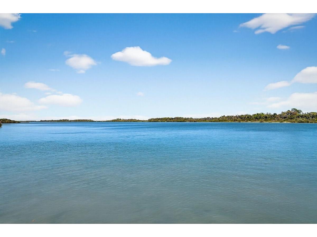 158 Jones Fish Camp Road Edgewater FL 32141 NS1087800 image54
