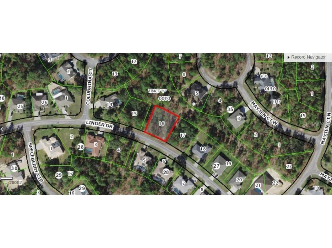 158 Linder Drive Homosassa FL 34446 T3434391 image1