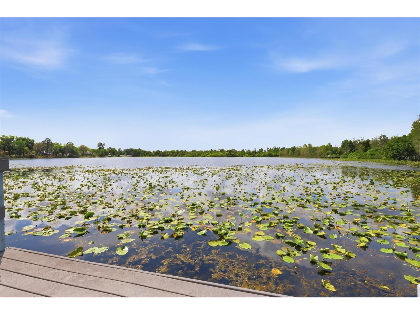 158 Northshore Cir Casselberry FL 32707 - LAKE TRIPLET V4948325 image40