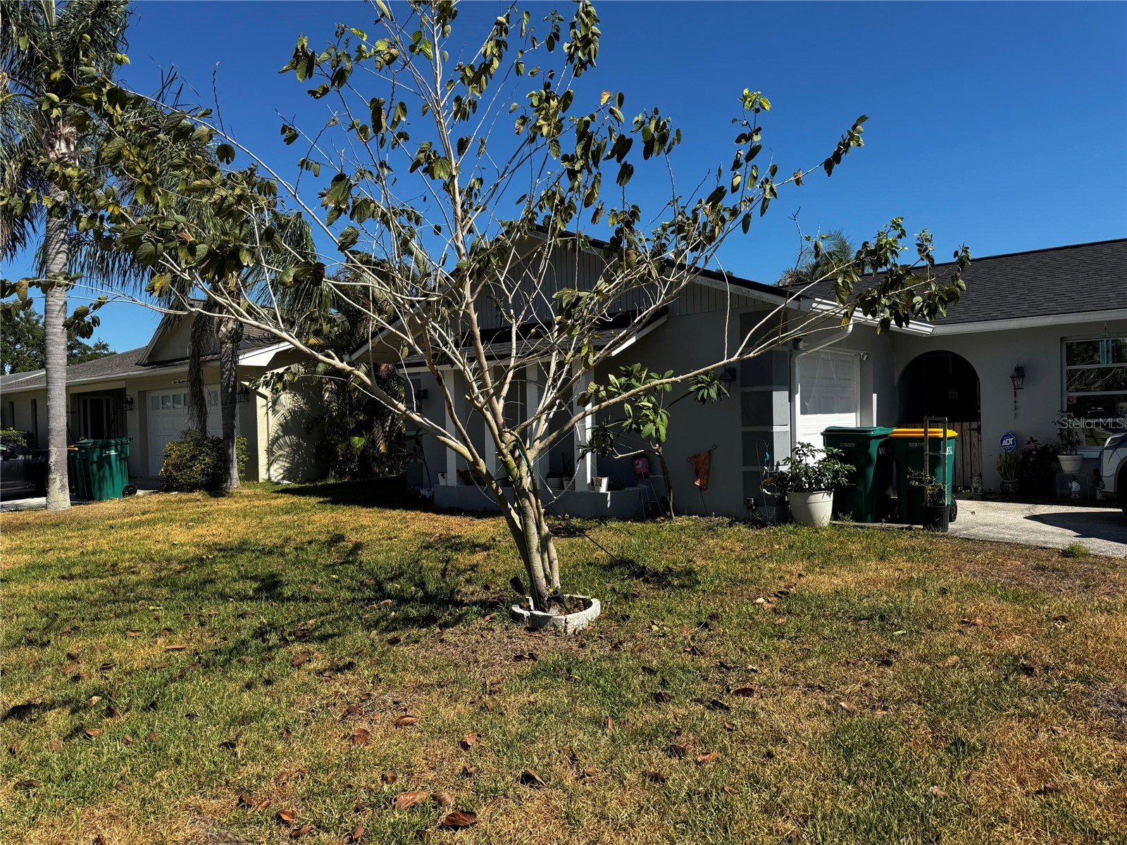 158 Sunshine Drive Palm Harbor FL 34684 O6407850 image1