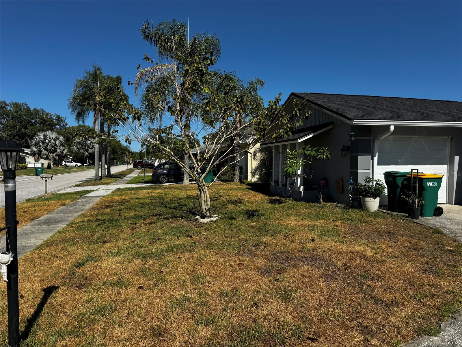158 Sunshine Drive Palm Harbor FL 34684 O6407850 image3