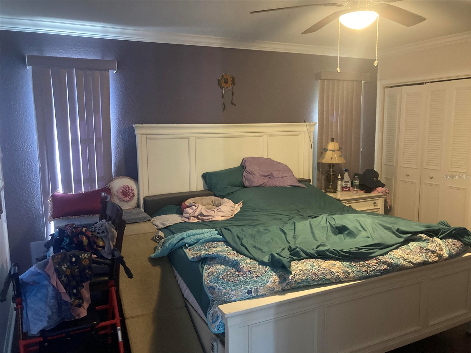158 Sunshine Drive Palm Harbor FL 34684 O6407850 image9