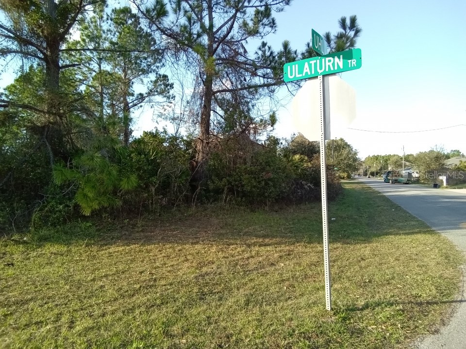 158 Ulaturn Trail Palm Coast FL 32164 O6094277 image1