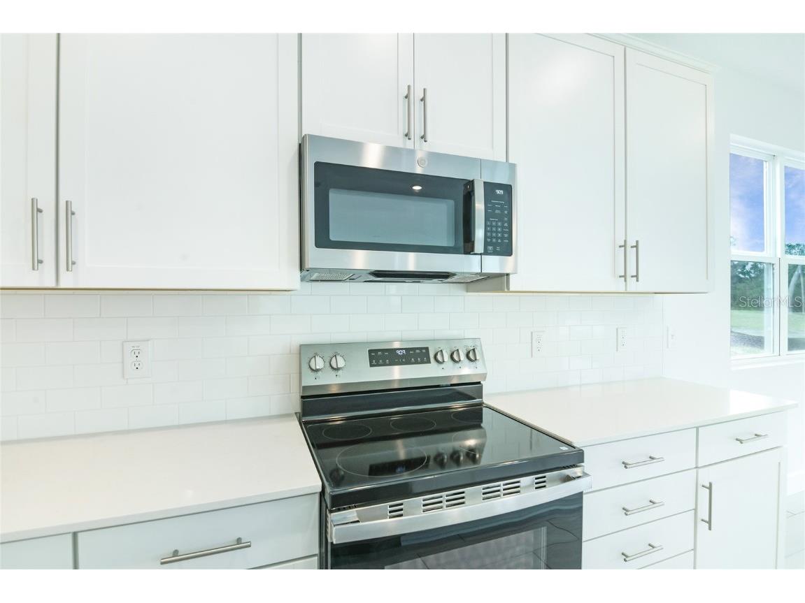 158 Waterstone Loop Tavares FL 32778 S5131861 image4