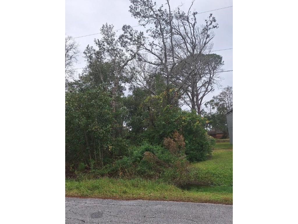 1580 2nd Avenue Deland FL 32724 O6366430 image1