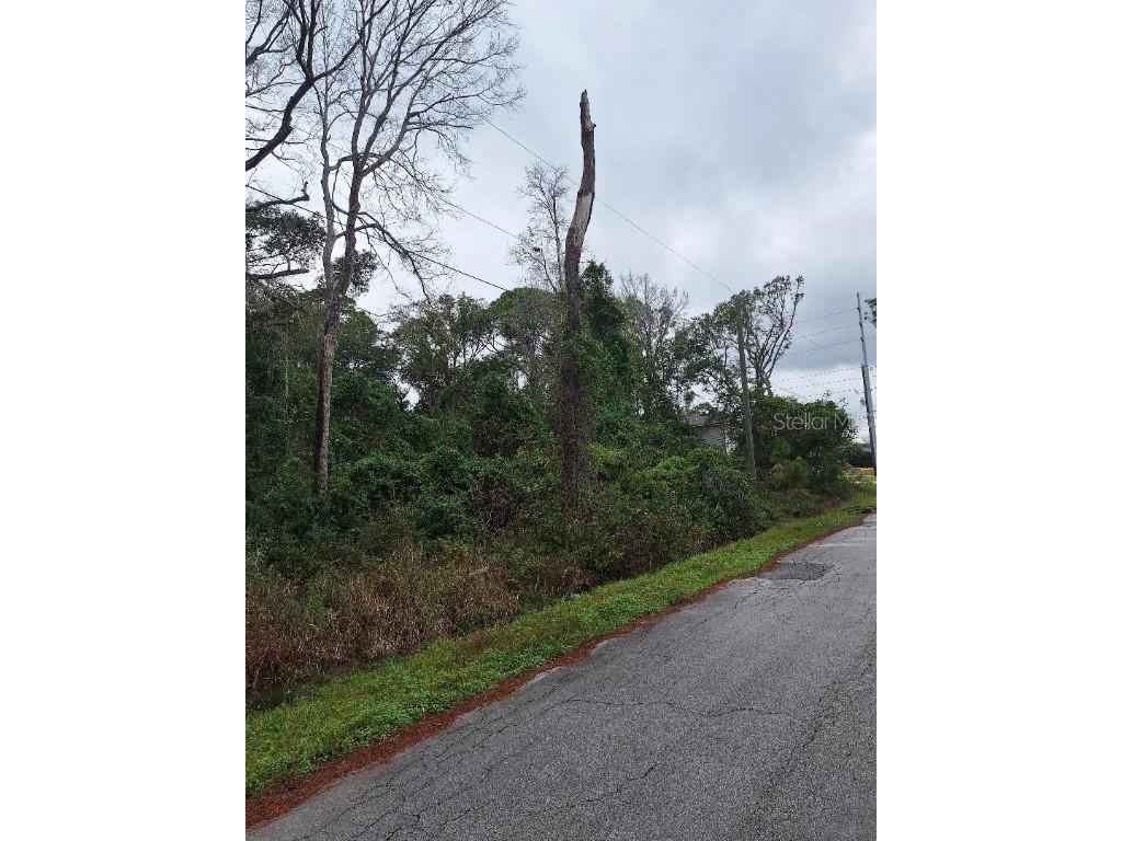 1580 2nd Avenue Deland FL 32724 O6366430 image4