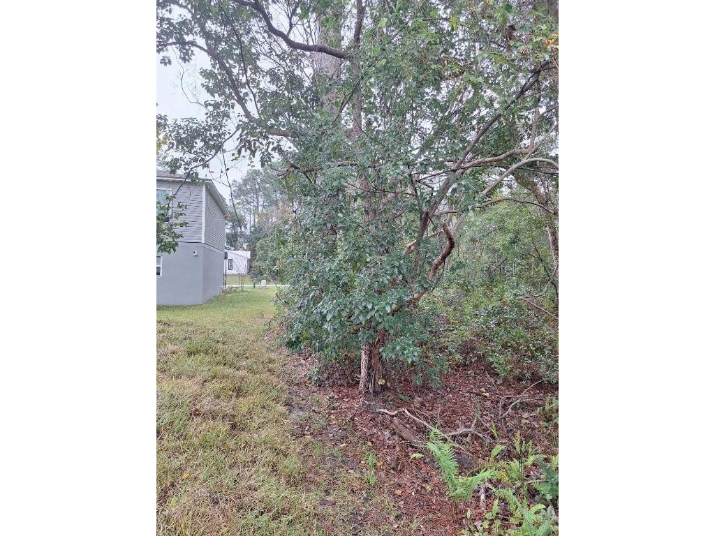 1580 2nd Avenue Deland FL 32724 O6366430 image5