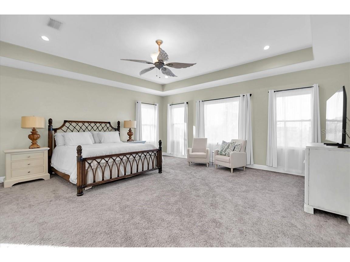 1580 Macchesney Drive Tarpon Springs FL 34689 TB8454389 image19