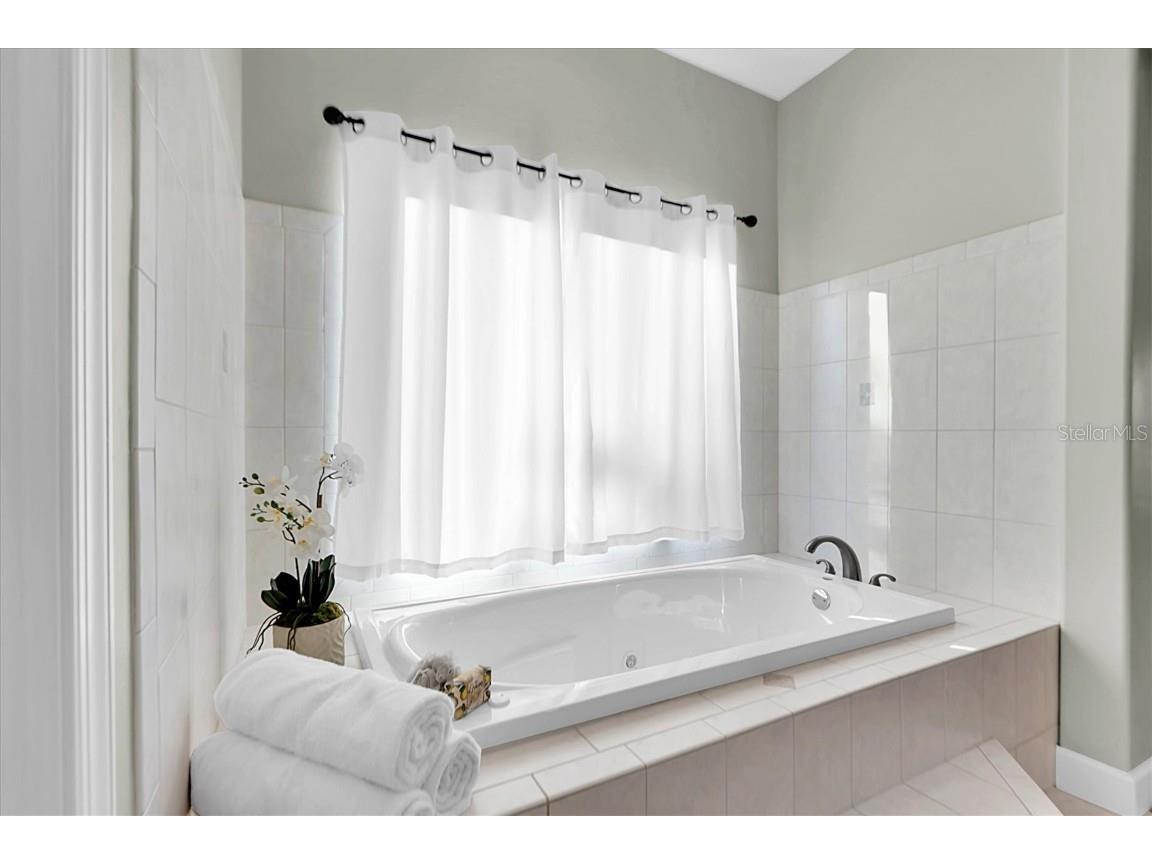 1580 Macchesney Drive Tarpon Springs FL 34689 TB8454389 image21