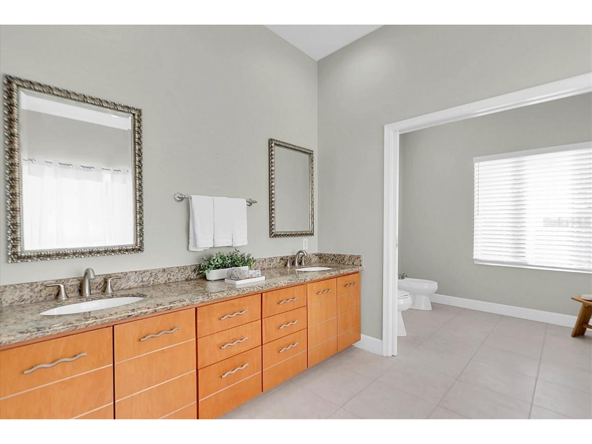 1580 Macchesney Drive Tarpon Springs FL 34689 TB8454389 image22