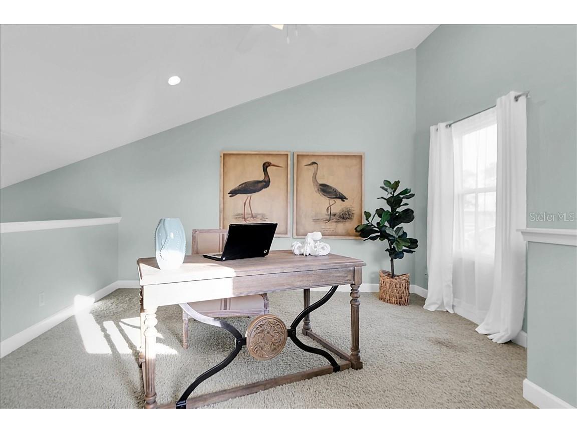 1580 Macchesney Drive Tarpon Springs FL 34689 TB8454389 image29