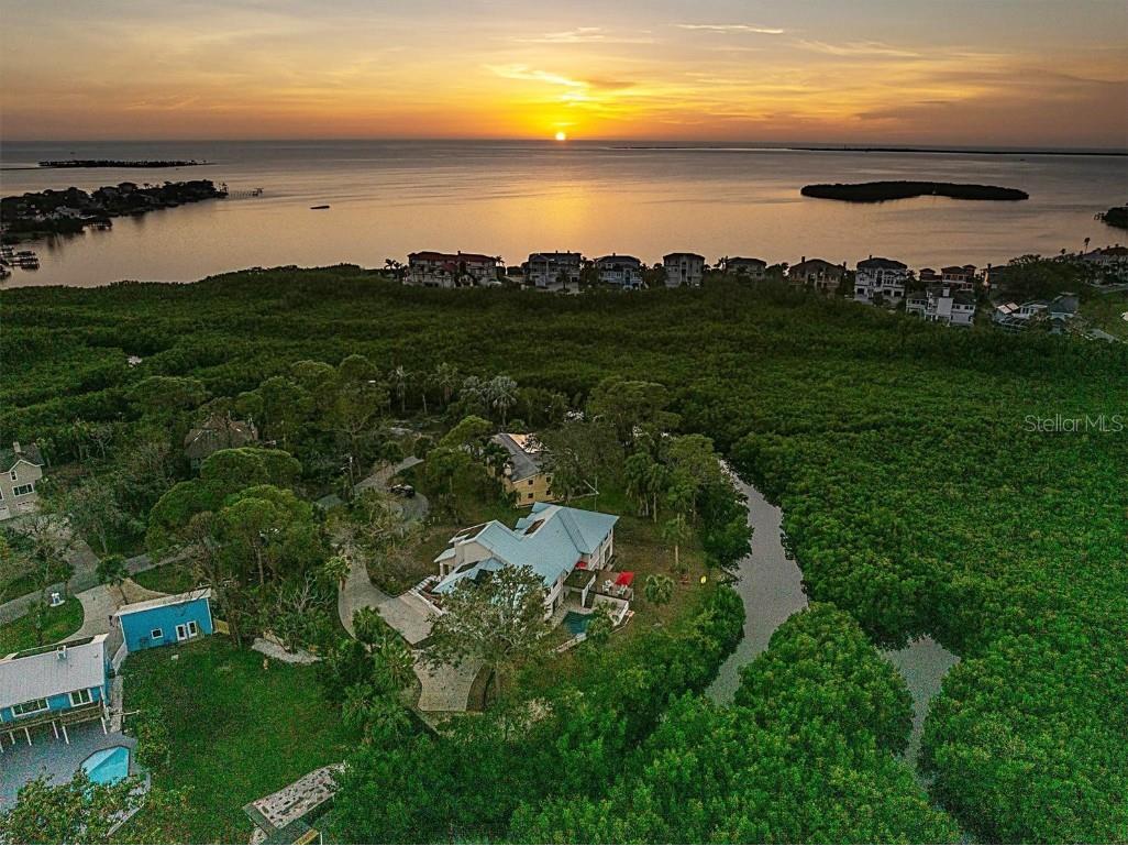 1580 Macchesney Drive Tarpon Springs FL 34689 TB8454389 image8