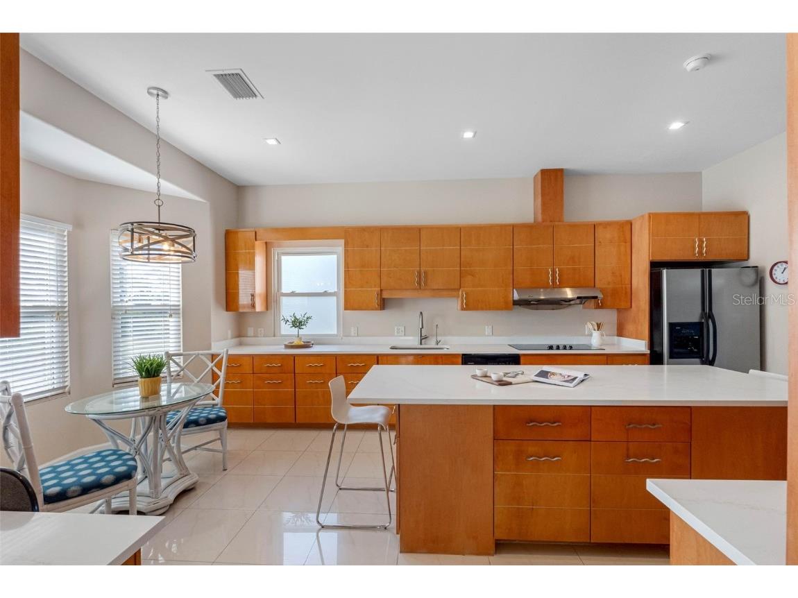 1580 Macchesney Drive Tarpon Springs FL 34689 TB8454389 image9