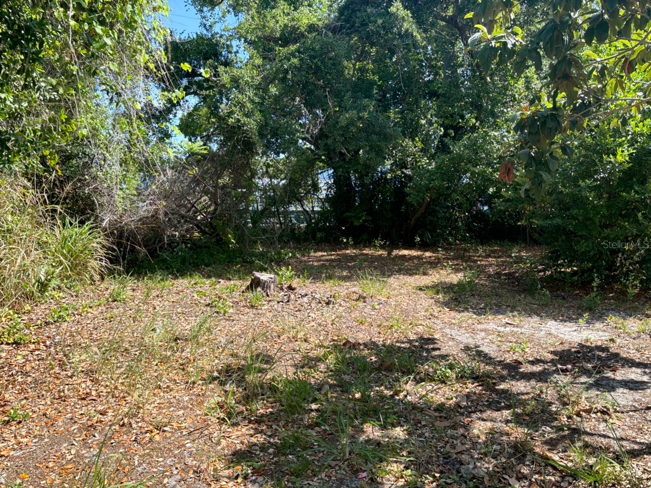 1580 Oak Village Drive Largo FL 33778 TB8513160 image10