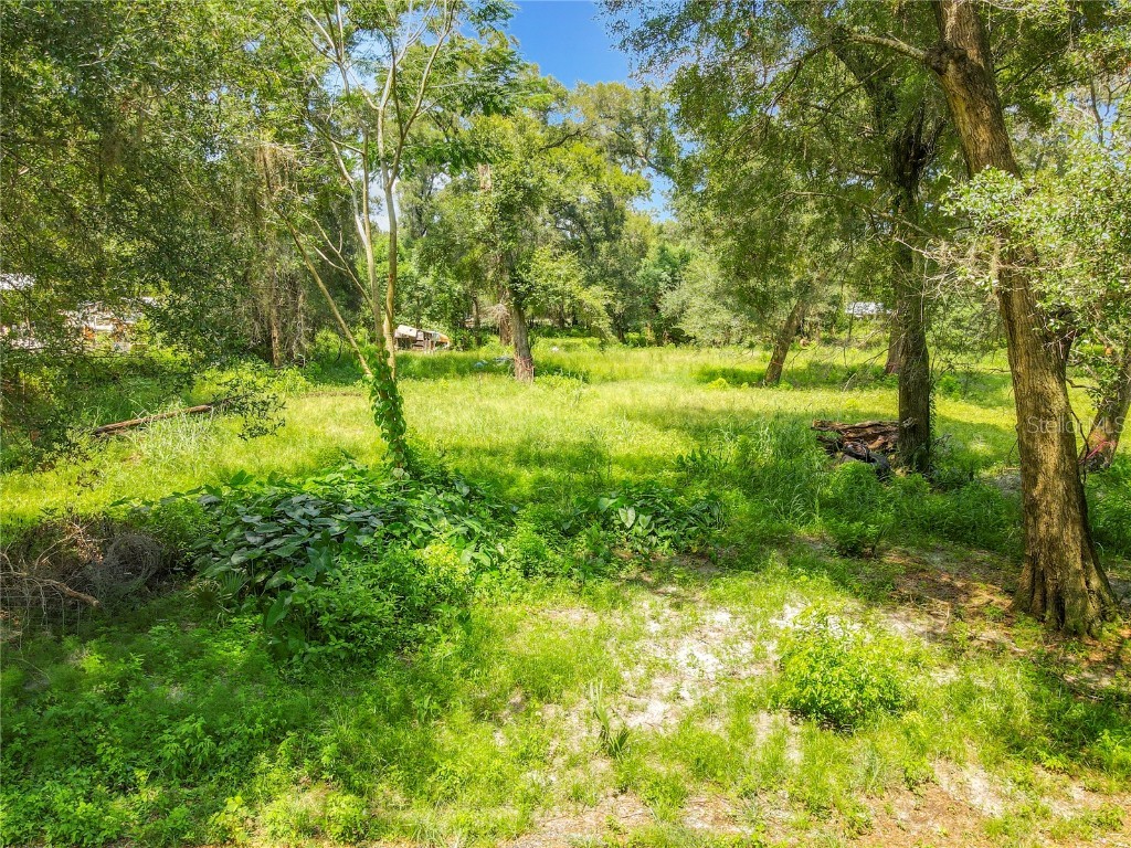 1580 Stone Road Deland FL 32720 O6137757 image1