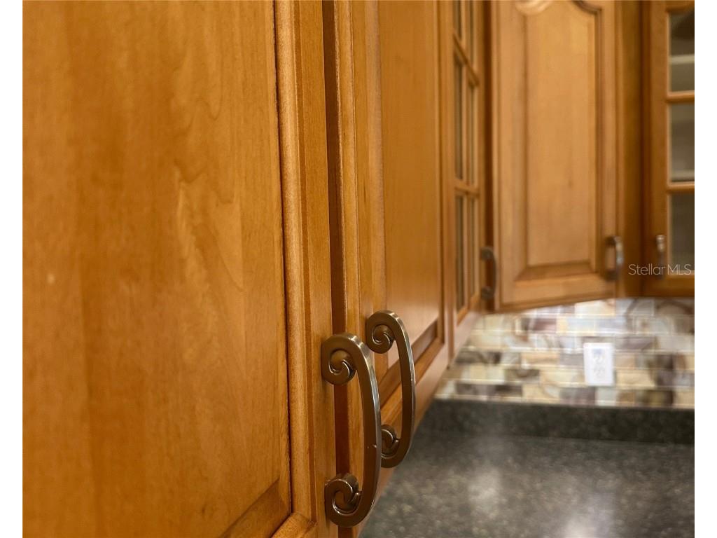 1580 Trinidad Street Deland FL 32720 V4944885 image13