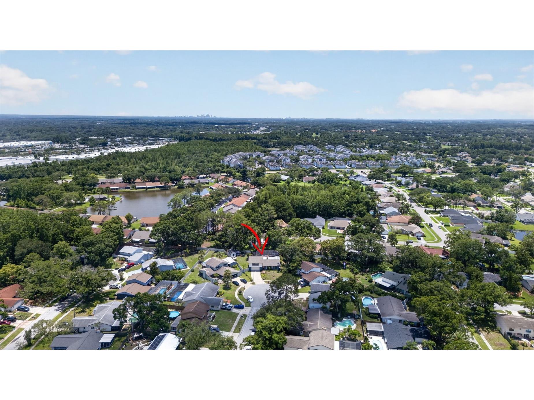 15801 Ashbury Place Tampa FL 33624 TB8513022 image46