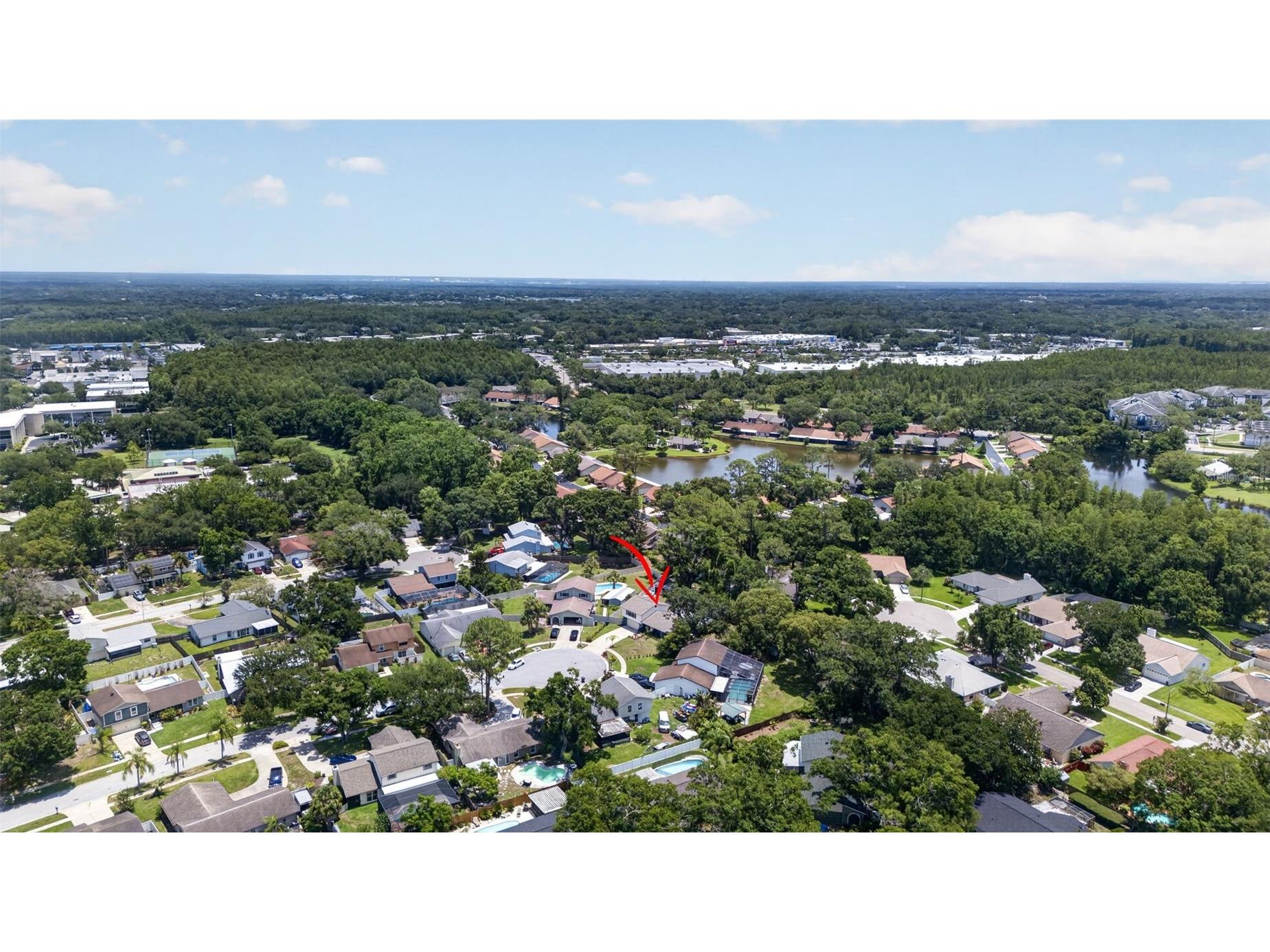 15801 Ashbury Place Tampa FL 33624 TB8513022 image47