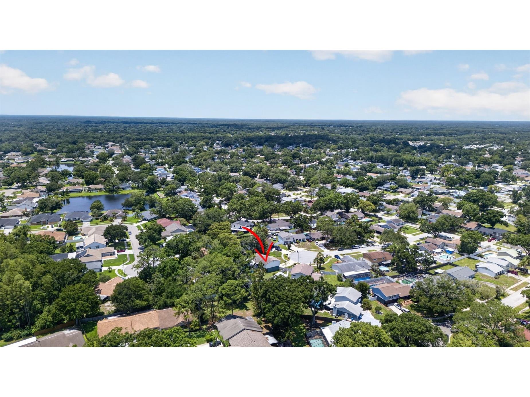 15801 Ashbury Place Tampa FL 33624 TB8513022 image48