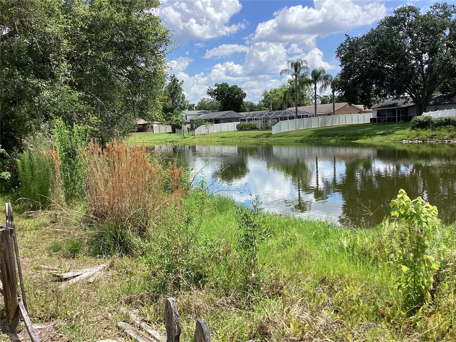 15803 Ironware Place Tampa FL 33624 TB8507924 image16