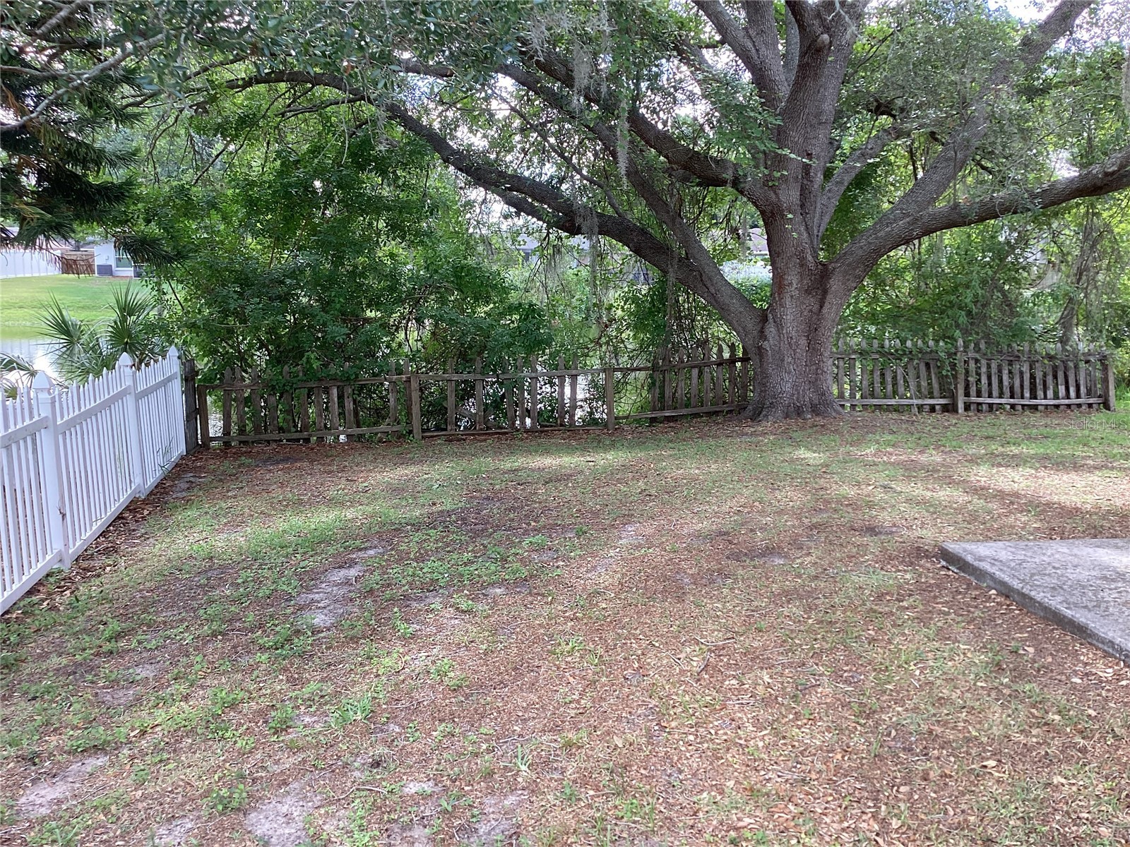 15803 Ironware Place Tampa FL 33624 TB8507924 image17