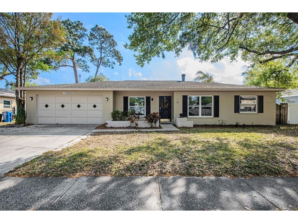 15803 Shillington Drive Tampa FL 33624 T3432626 image1
