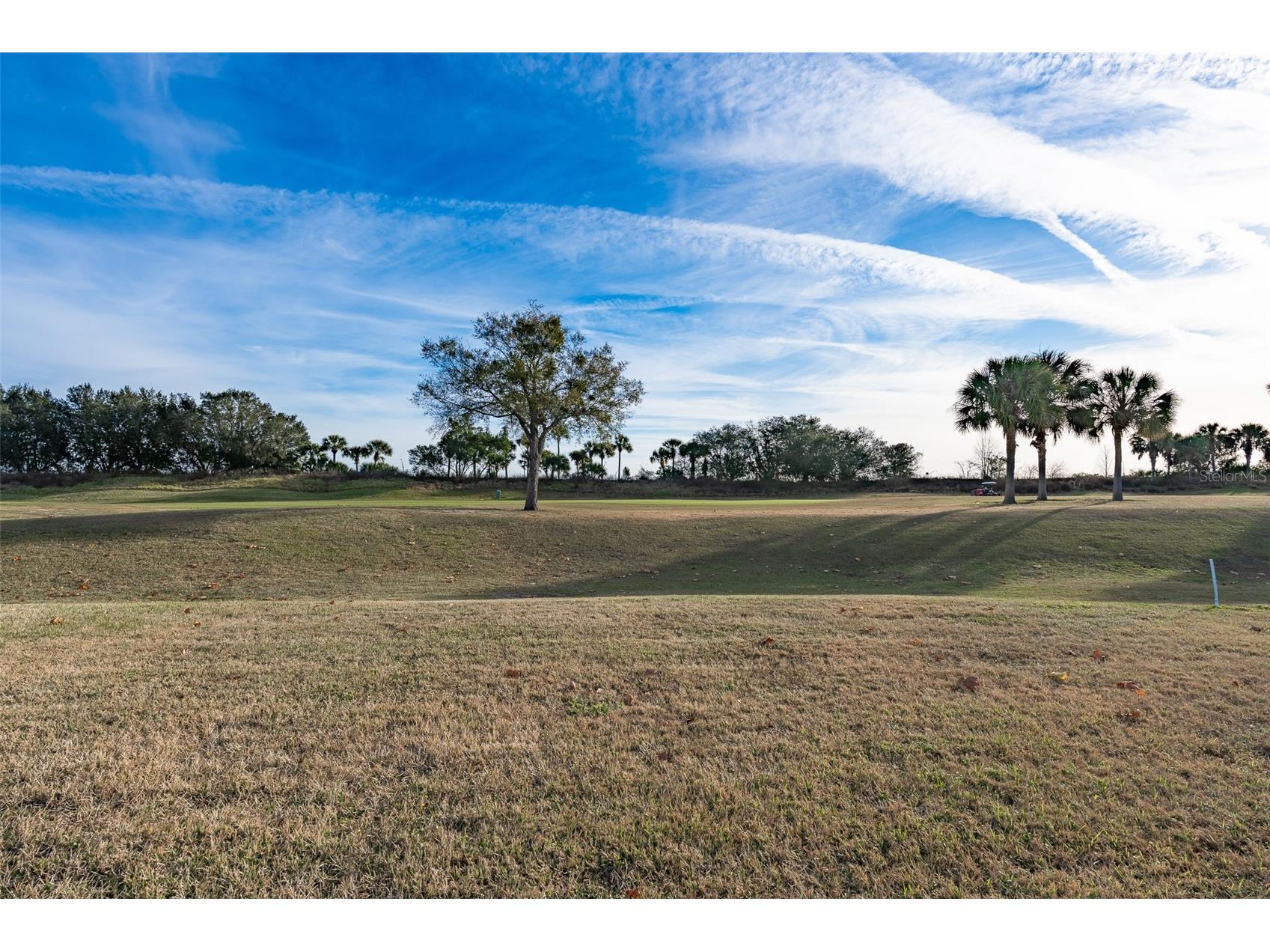 15803 SW 11th Court Road Ocala FL 34473 OM716612 image48