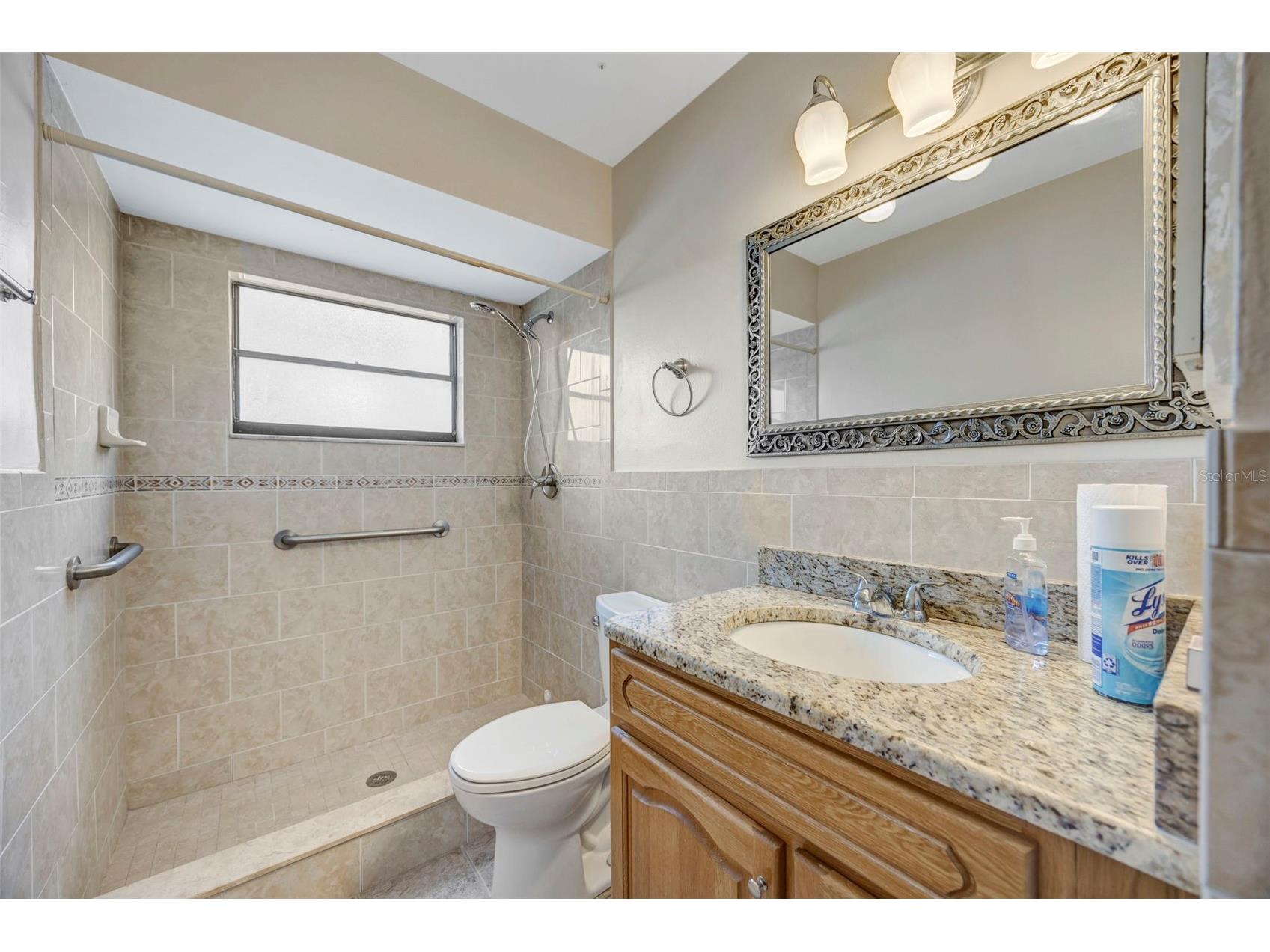 15804 Ironware Place Tampa FL 33624 TB8510171 image46
