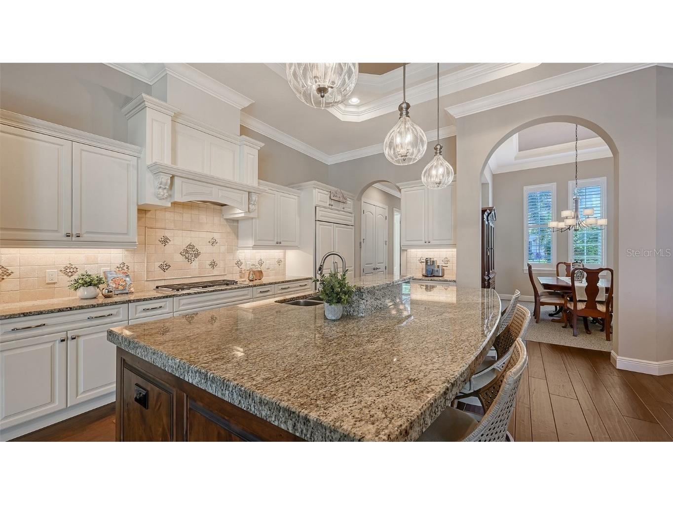 15805 Castle Park Terrace Lakewood Ranch FL 34202 A4666584 image26