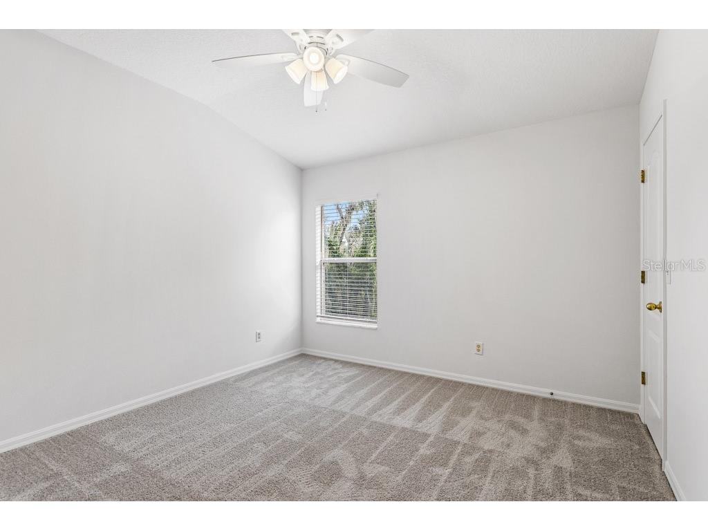 15807 Fishhawk Falls Drive Lithia FL 33547 TB8502289 image13
