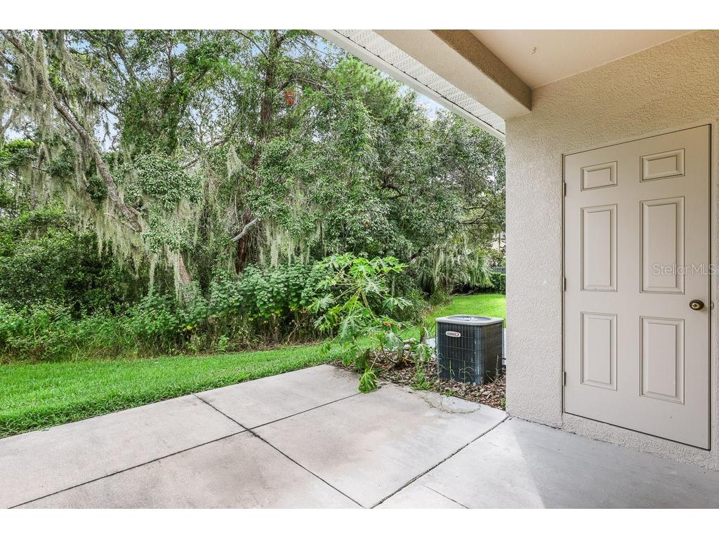 15807 Fishhawk Falls Drive Lithia FL 33547 TB8502289 image16