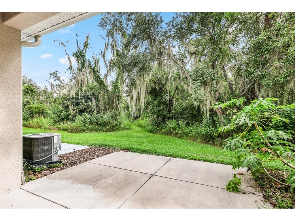 15807 Fishhawk Falls Drive Lithia FL 33547 TB8502289 image17