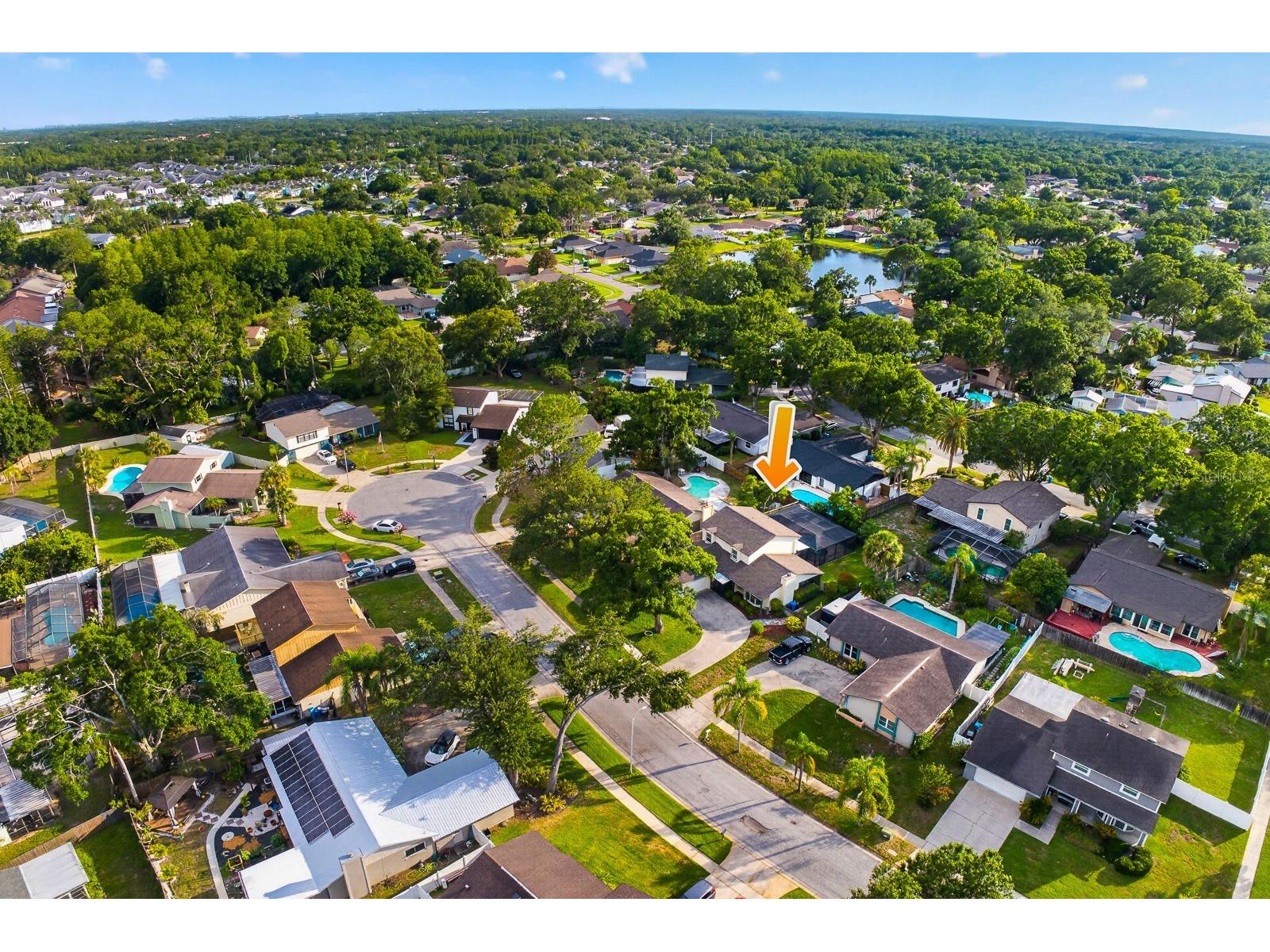 15808 Ashbury Place Tampa FL 33624 TB8518255 image61
