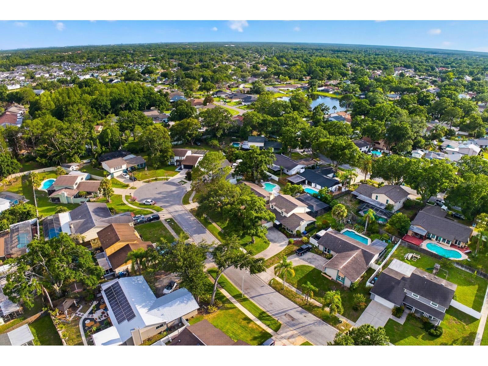 15808 Ashbury Place Tampa FL 33624 TB8518255 image62