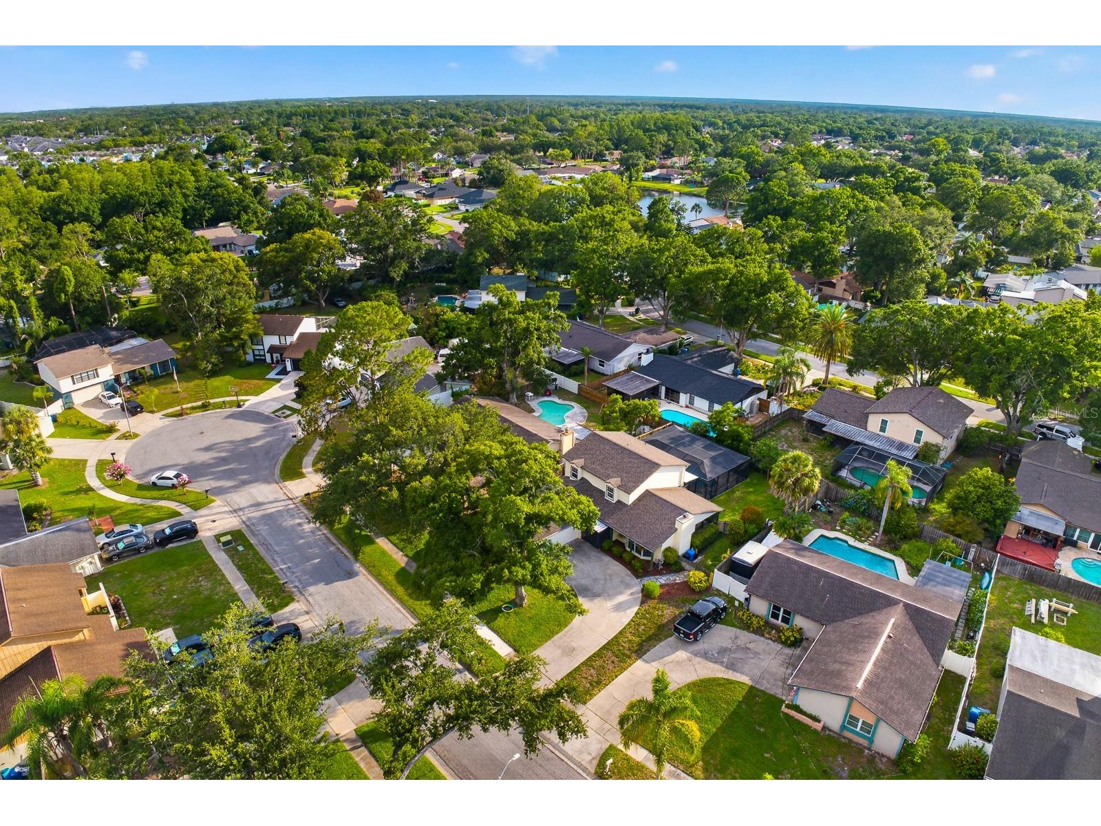 15808 Ashbury Place Tampa FL 33624 TB8518255 image63