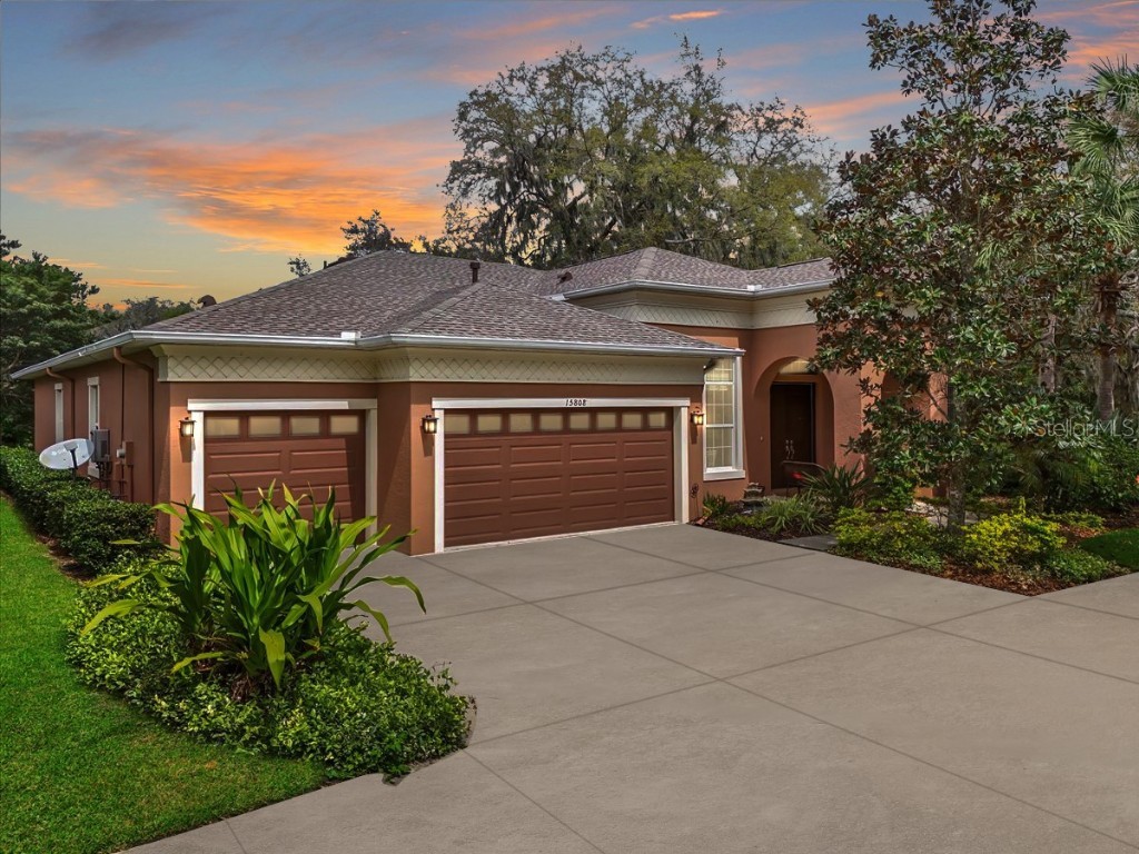 15808 Oakleaf Run Drive Lithia FL 33547 T3512996 image1