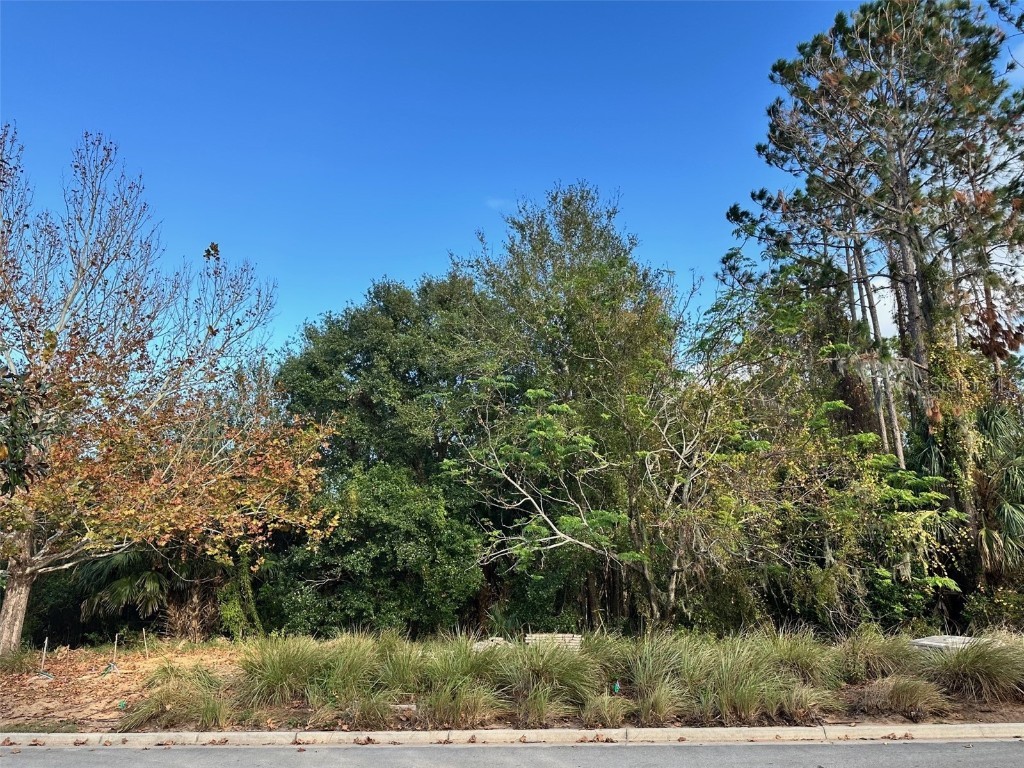 15809 Pendio Drive FL 34756 - LAKE SIENA G5090364 image1