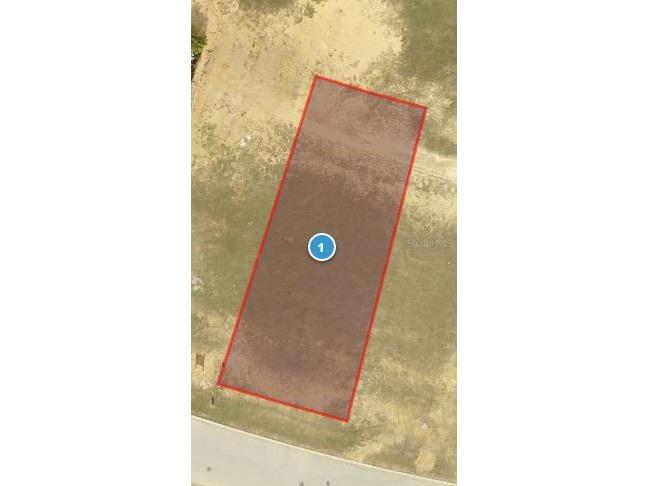 15809 Vetta Drive Montverde FL 34756 - LAKE SIENA G5095632 image4