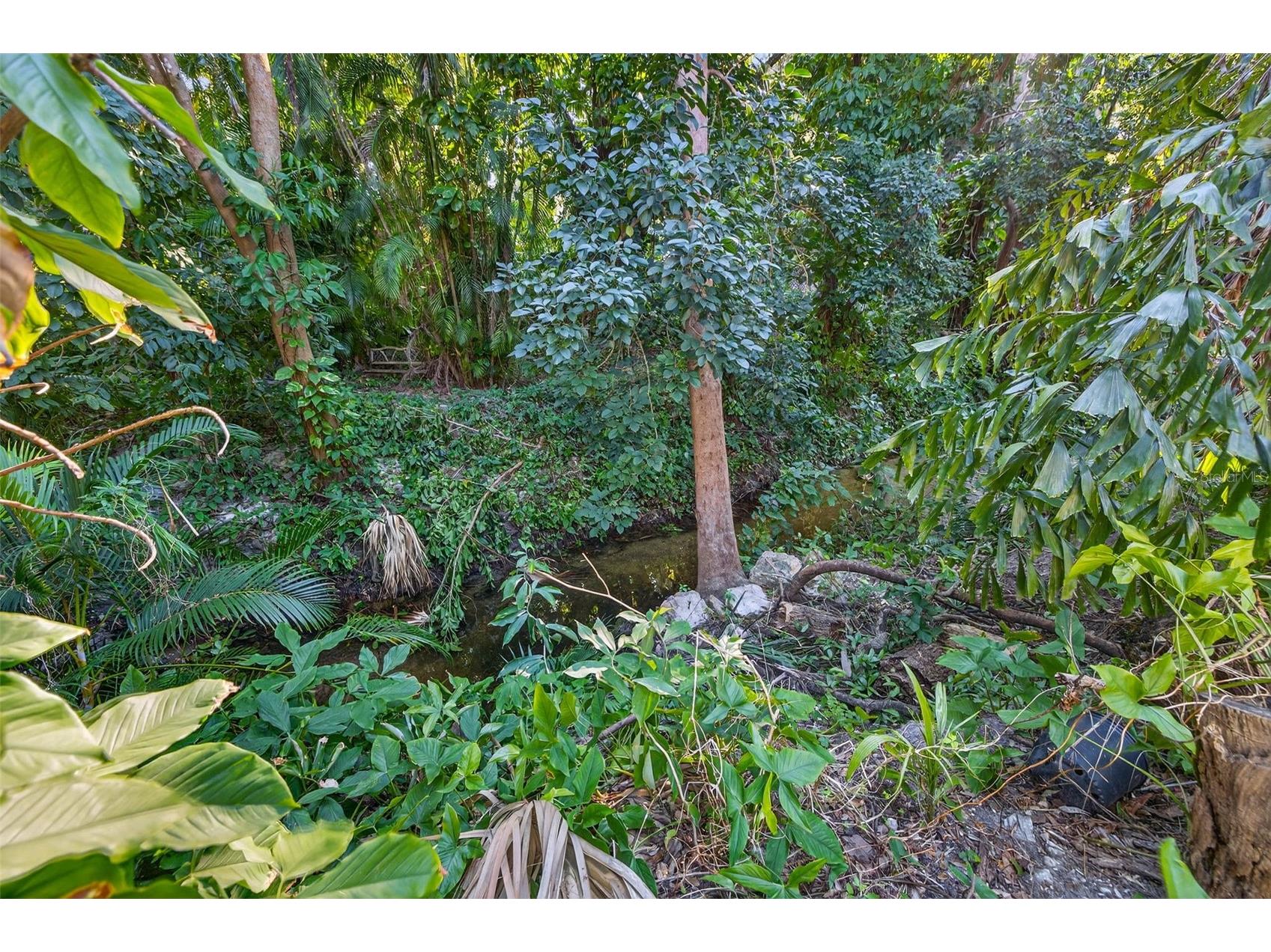 1581 Alexander Road Belleair FL 33756 - CREEK TB8469446 image43